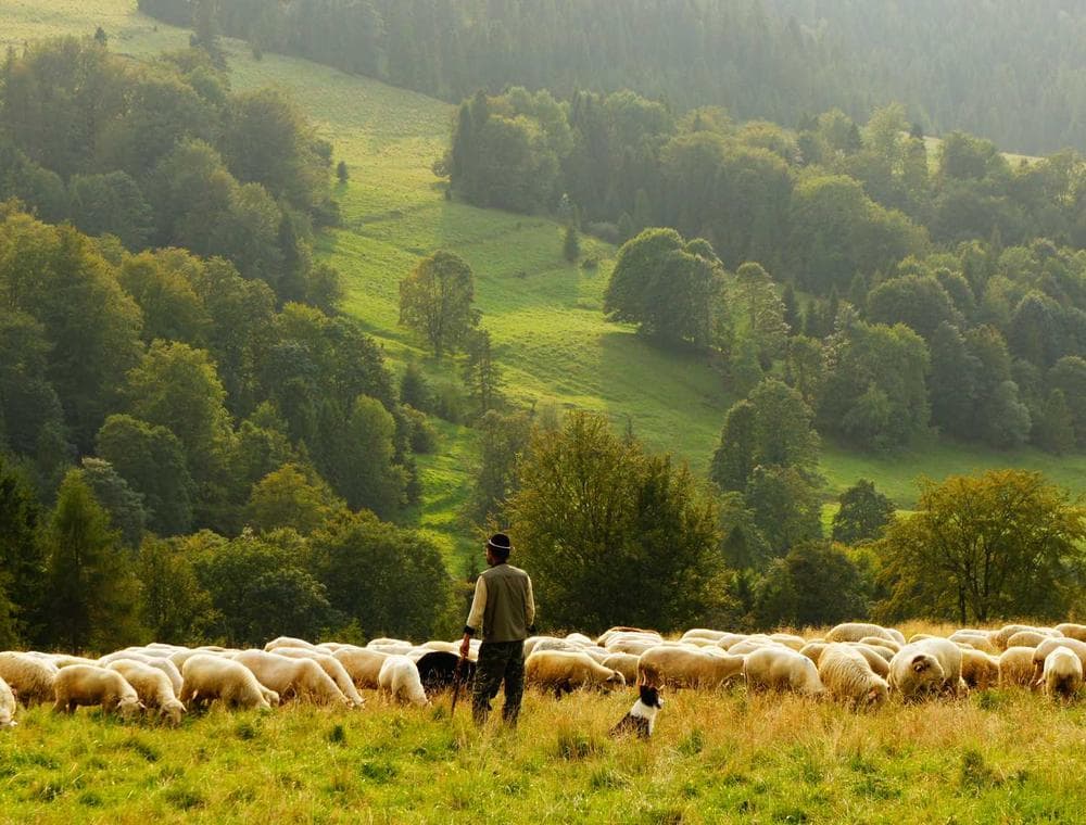 Social media content being planned
